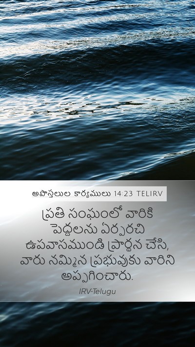 అపొస్తలుల కార్యములు 14:23 TELIRV Bible Verse Image