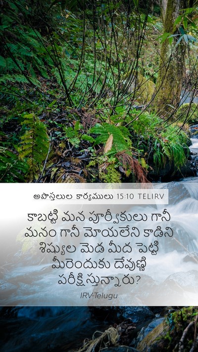 అపొస్తలుల కార్యములు 15:10 TELIRV Bible Verse Image