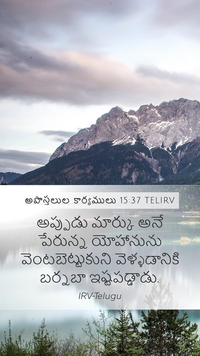 అపొస్తలుల కార్యములు 15:37 TELIRV Bible Verse Image