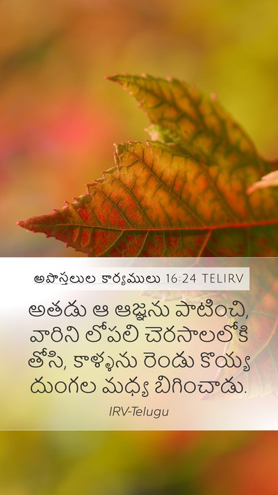 అపొస్తలుల కార్యములు 16:24 TELIRV Bible Verse Image