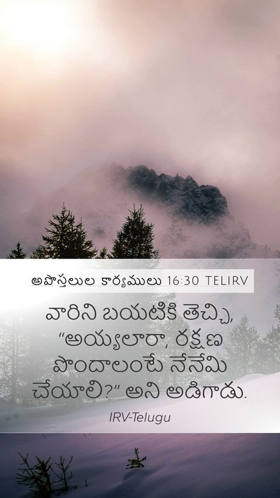 అపొస్తలుల కార్యములు 16:30 TELIRV Bible Verse Image