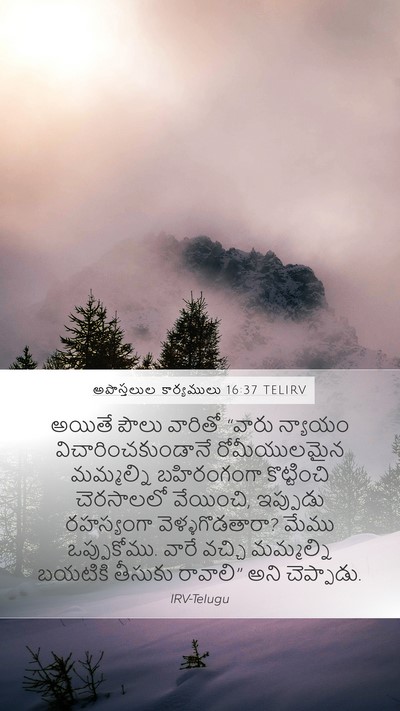 అపొస్తలుల కార్యములు 16:37 TELIRV Bible Verse Image