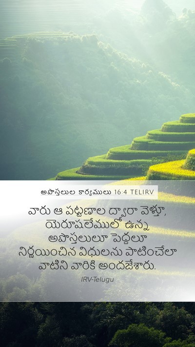 అపొస్తలుల కార్యములు 16:4 TELIRV Bible Verse Image