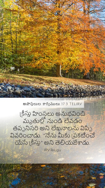 అపొస్తలుల కార్యములు 17:3 TELIRV Bible Verse Image
