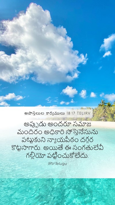 అపొస్తలుల కార్యములు 18:17 TELIRV Bible Verse Image