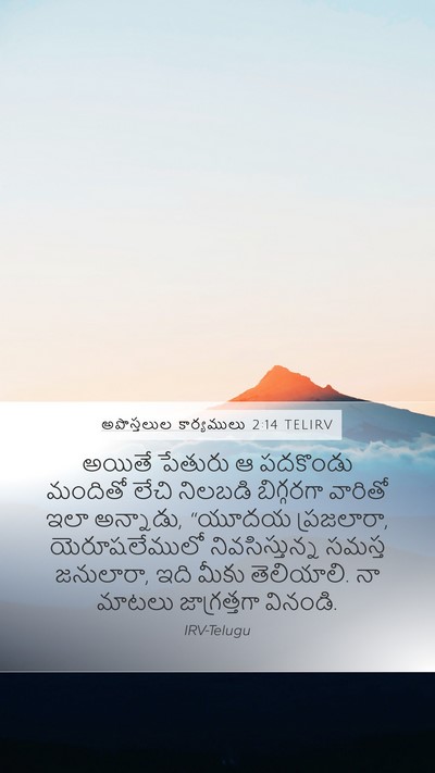అపొస్తలుల కార్యములు 2:14 TELIRV Bible Verse Image