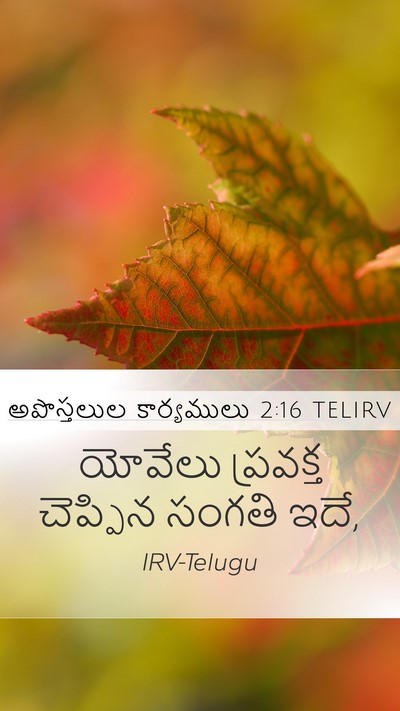 అపొస్తలుల కార్యములు 2:16 TELIRV Bible Verse Image