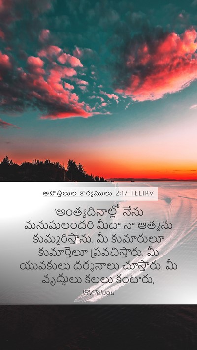 అపొస్తలుల కార్యములు 2:17 TELIRV Bible Verse Image