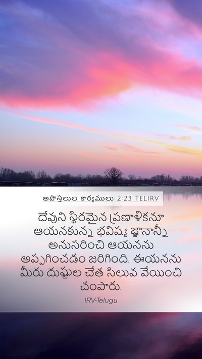 అపొస్తలుల కార్యములు 2:23 TELIRV Bible Verse Image