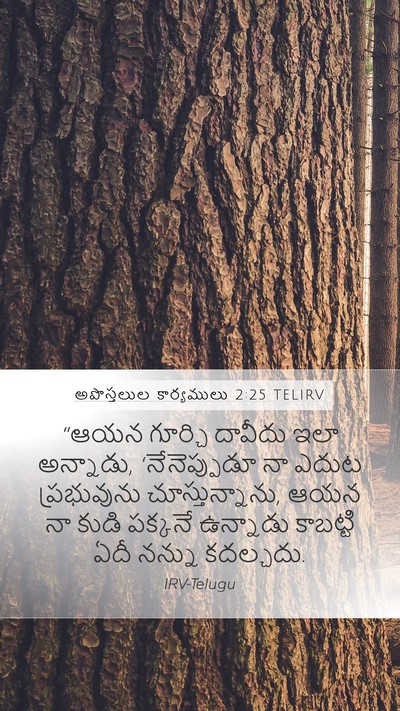 అపొస్తలుల కార్యములు 2:25 TELIRV Bible Verse Image
