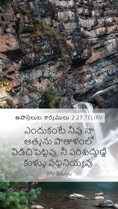 అపొస్తలుల కార్యములు 2:27 TELIRV Bible Verse Image