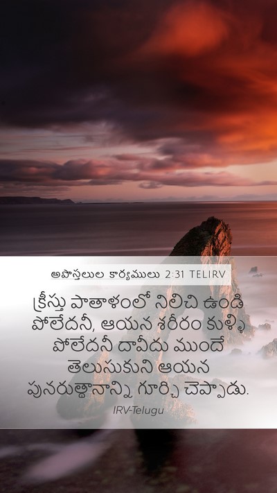 అపొస్తలుల కార్యములు 2:31 TELIRV Bible Verse Image