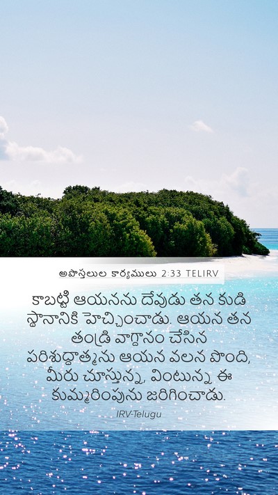 అపొస్తలుల కార్యములు 2:33 TELIRV Bible Verse Image