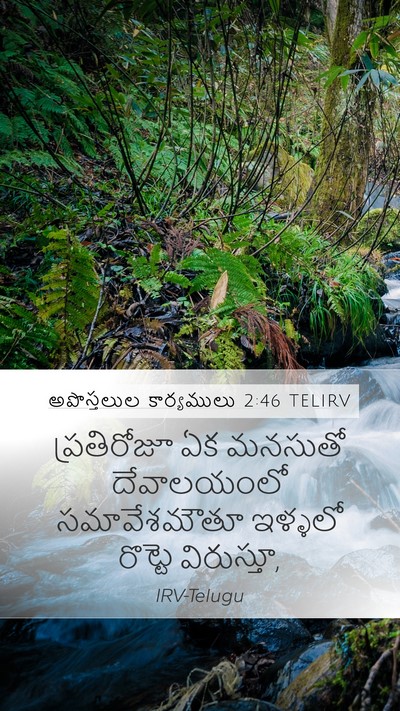 అపొస్తలుల కార్యములు 2:46 TELIRV Bible Verse Image