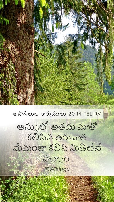 అపొస్తలుల కార్యములు 20:14 TELIRV Mobile Phone Wallpaper - అస్సులో అతడు మాతో - Mobile Bible Verse Wallpaper