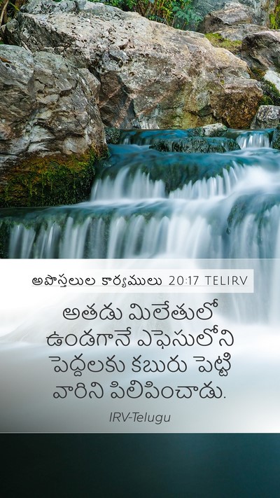 అపొస్తలుల కార్యములు 20:17 TELIRV Bible Verse Image
