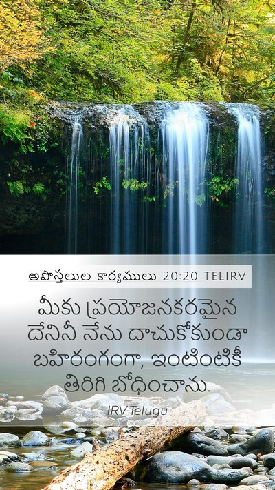 అపొస్తలుల కార్యములు 20:20 TELIRV Bible Verse Image