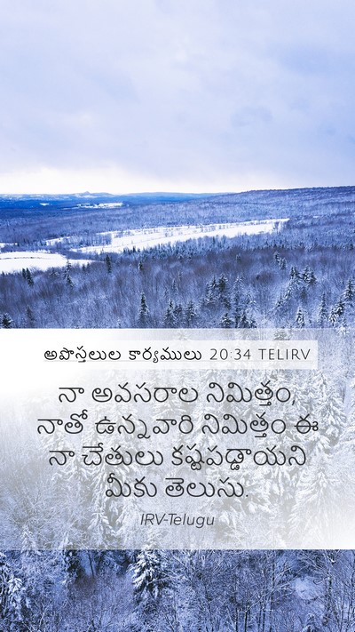 అపొస్తలుల కార్యములు 20:34 TELIRV Bible Verse Image