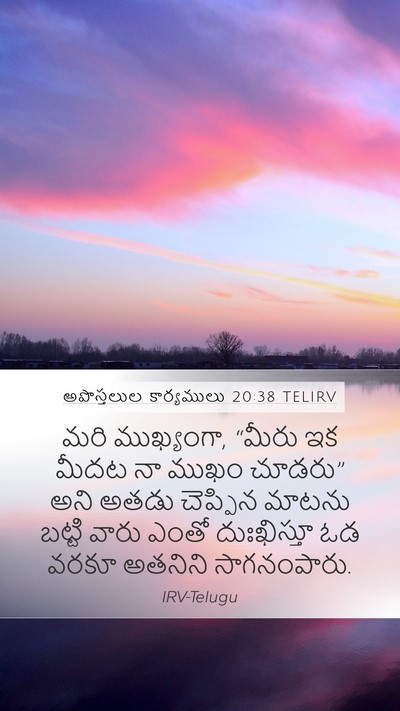 అపొస్తలుల కార్యములు 20:38 TELIRV Bible Verse Image