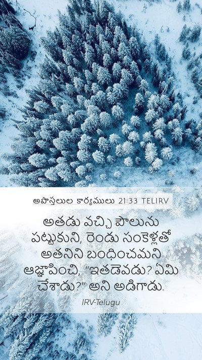 అపొస్తలుల కార్యములు 21:33 TELIRV Bible Verse Image