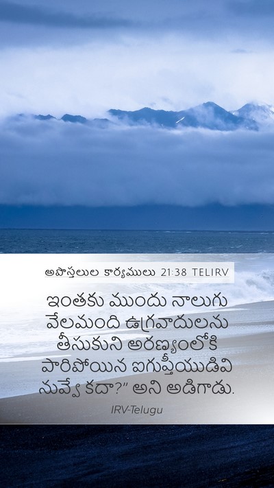 అపొస్తలుల కార్యములు 21:38 TELIRV Bible Verse Image