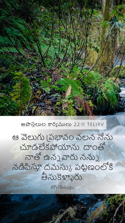 అపొస్తలుల కార్యములు 22:11 TELIRV Bible Verse Image
