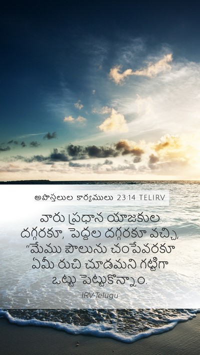 అపొస్తలుల కార్యములు 23:14 TELIRV Bible Verse Image