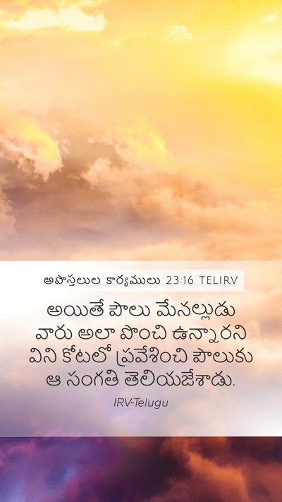 అపొస్తలుల కార్యములు 23:16 TELIRV Bible Verse Image