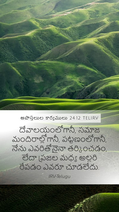అపొస్తలుల కార్యములు 24:12 TELIRV Bible Verse Image