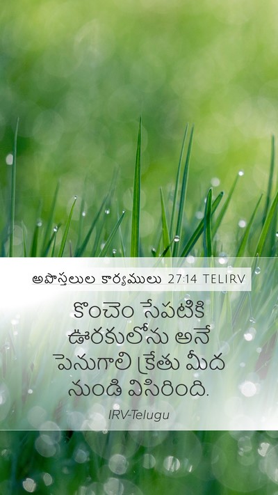 అపొస్తలుల కార్యములు 27:14 TELIRV Bible Verse Image