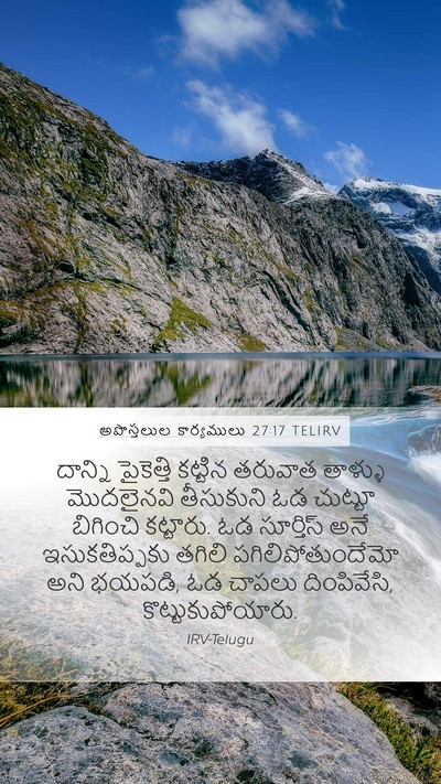 అపొస్తలుల కార్యములు 27:17 TELIRV Bible Verse Image