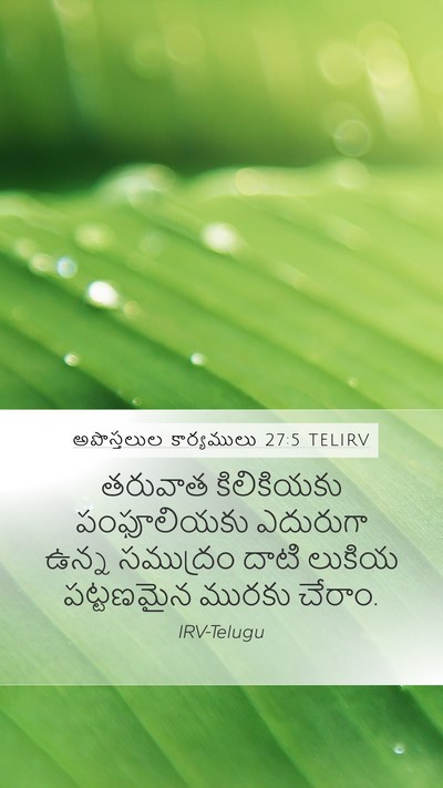 అపొస్తలుల కార్యములు 27:5 TELIRV Bible Verse Image