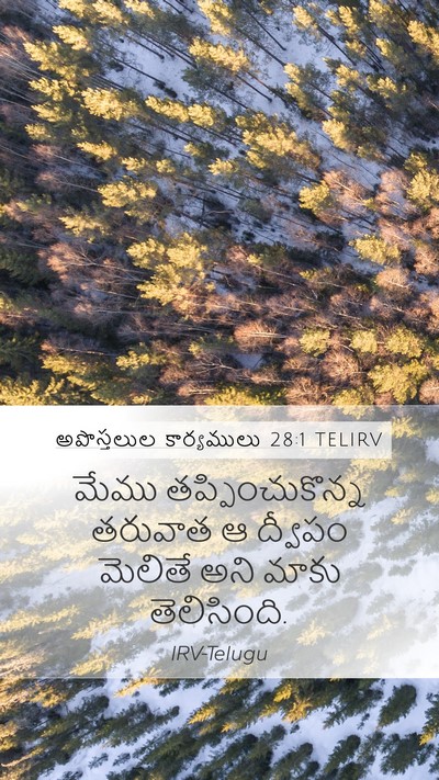 అపొస్తలుల కార్యములు 28:1 TELIRV Bible Verse Image