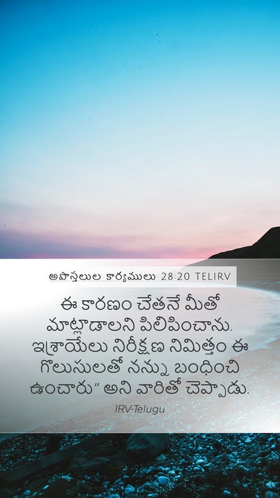 అపొస్తలుల కార్యములు 28:20 TELIRV Bible Verse Image