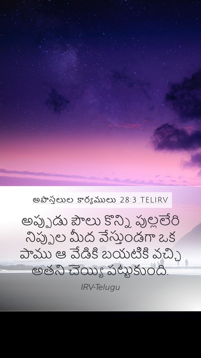 అపొస్తలుల కార్యములు 28:3 TELIRV Bible Verse Image
