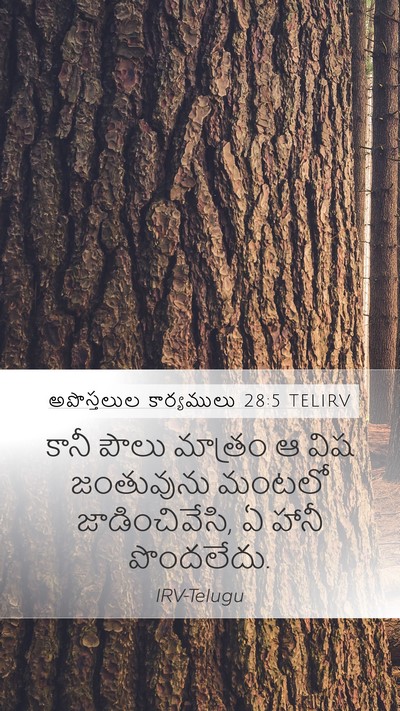 అపొస్తలుల కార్యములు 28:5 TELIRV Bible Verse Image