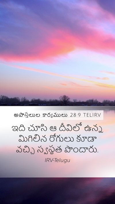అపొస్తలుల కార్యములు 28:9 TELIRV Mobile Phone Wallpaper - ఇది చూసి ఆ దీవిలో - Mobile Bible Verse Wallpaper
