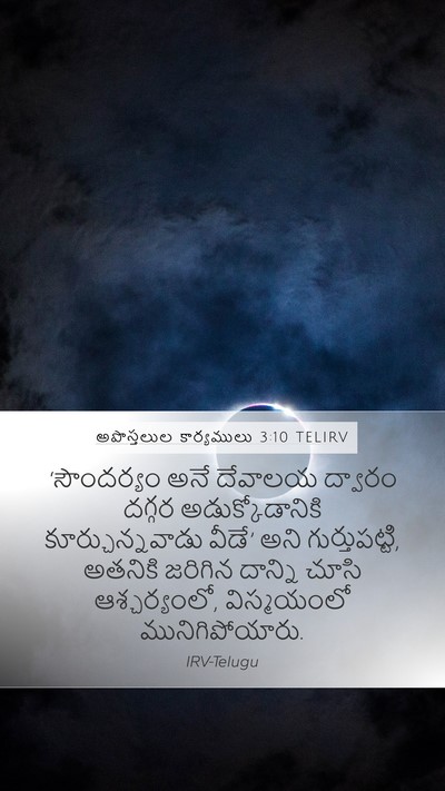 అపొస్తలుల కార్యములు 3:10 TELIRV Bible Verse Image