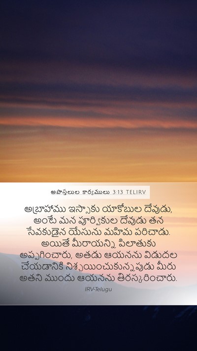 అపొస్తలుల కార్యములు 3:13 TELIRV Bible Verse Image