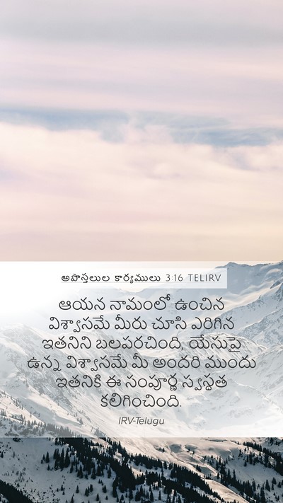అపొస్తలుల కార్యములు 3:16 TELIRV Bible Verse Image