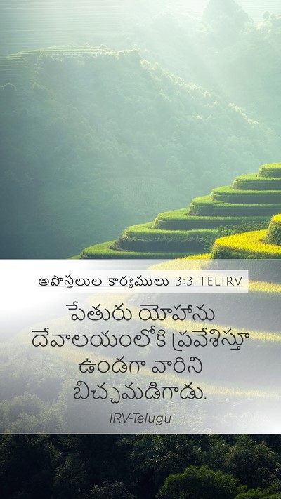 అపొస్తలుల కార్యములు 3:3 TELIRV Mobile Phone Wallpaper - పేతురు యోహాను - Mobile Bible Verse Wallpaper
