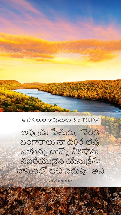 అపొస్తలుల కార్యములు 3:6 TELIRV Bible Verse Image