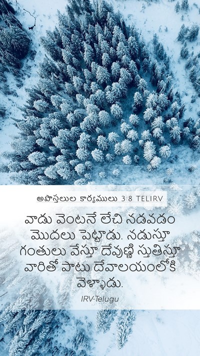 అపొస్తలుల కార్యములు 3:8 TELIRV Bible Verse Image