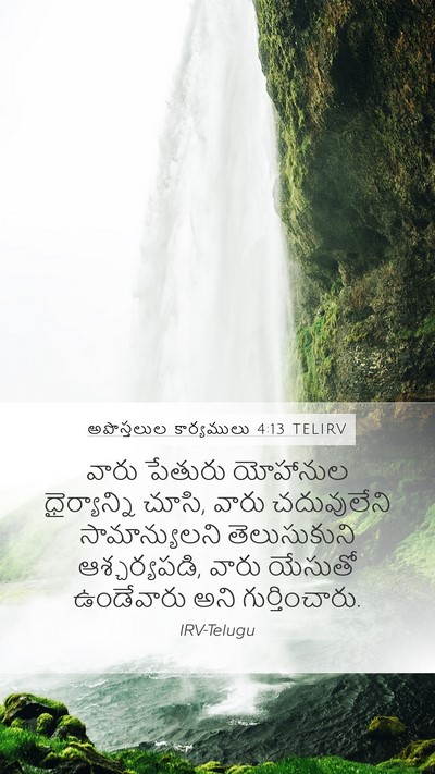 అపొస్తలుల కార్యములు 4:13 TELIRV Bible Verse Image