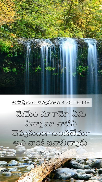 అపొస్తలుల కార్యములు 4:20 TELIRV Bible Verse Image