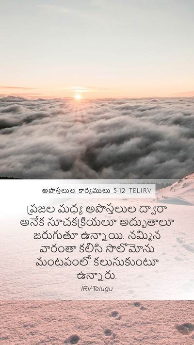 అపొస్తలుల కార్యములు 5:12 TELIRV Bible Verse Image
