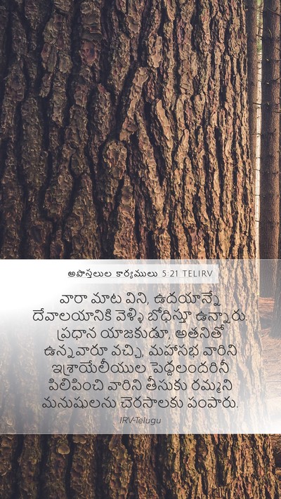 అపొస్తలుల కార్యములు 5:21 TELIRV Bible Verse Image