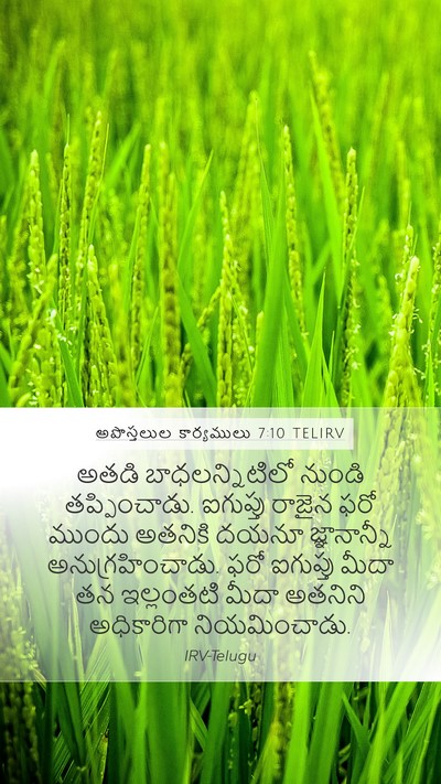 అపొస్తలుల కార్యములు 7:10 TELIRV Bible Verse Image