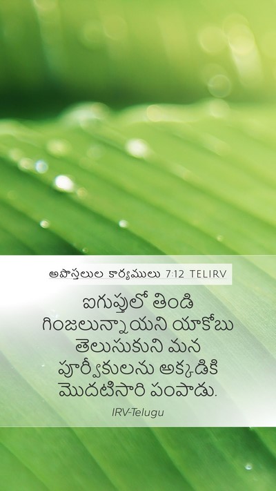 అపొస్తలుల కార్యములు 7:12 TELIRV Bible Verse Image