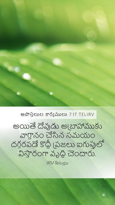 అపొస్తలుల కార్యములు 7:17 TELIRV Bible Verse Image